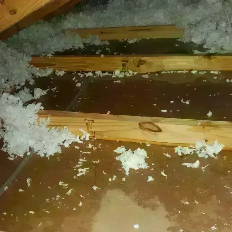 Attic Water Damage in Tipton, IA